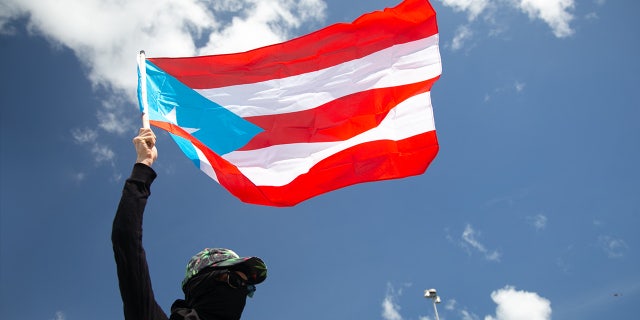 Puerto Rico flag waved by protester