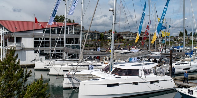 catamaran moored in marina