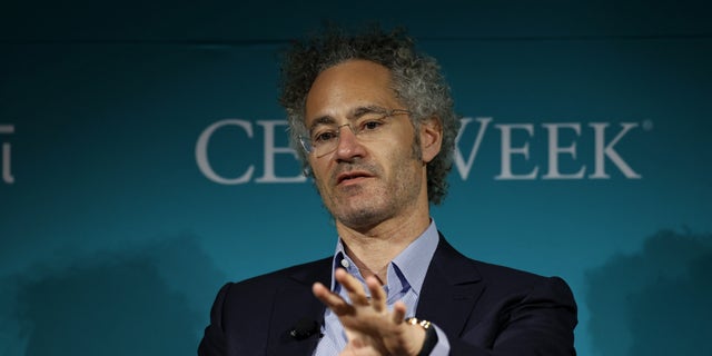 Alex Karp AI