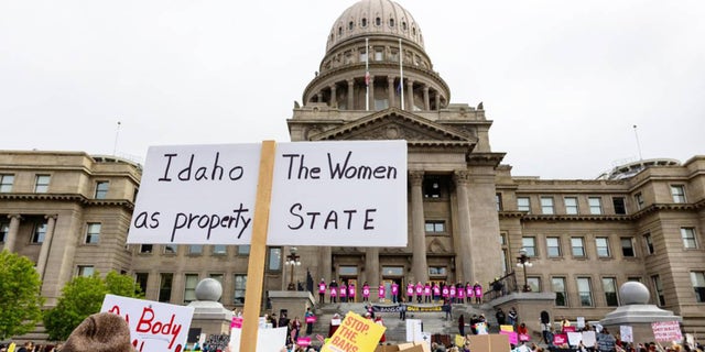 Idaho state capitol protest