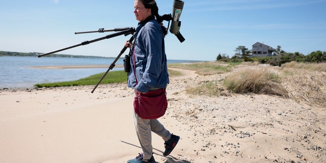 Lisa Schibley, bird watcher