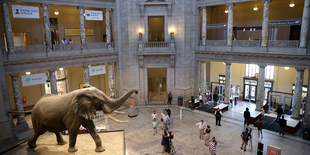Smithsonian National Museum of Natural History