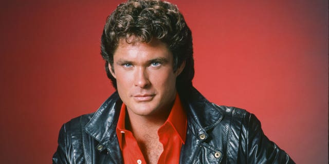 David Hasselhoff