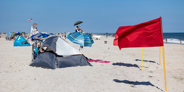 Jones Beach closed due to shark feeding on bunker fish