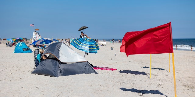 Jones Beach closed due to shark feeding on bunker fish