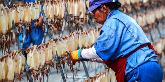 worker dries squid at food factory in China