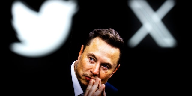 Elon Musk with X and Twitter bird logos overhead