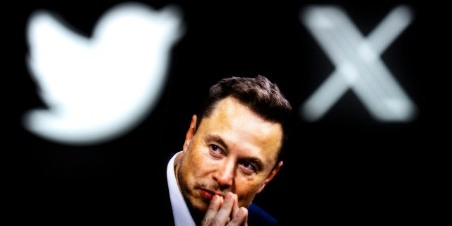 Elon Musk with X and Twitter bird logos overhead