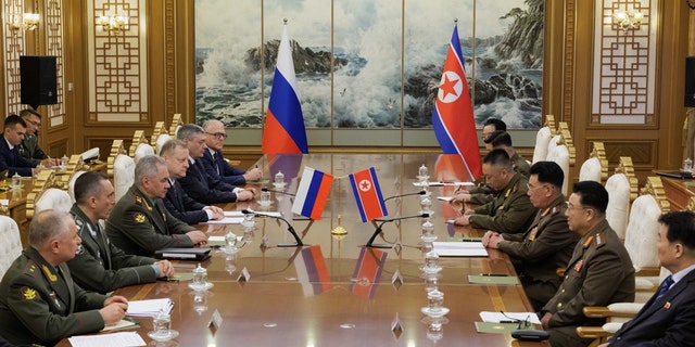 Russian, north Korean officials