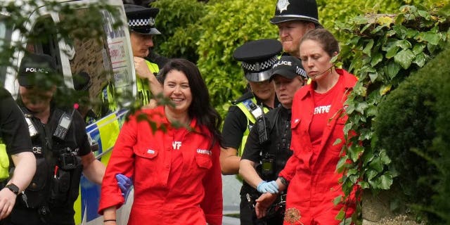 Greenpeace activists led away