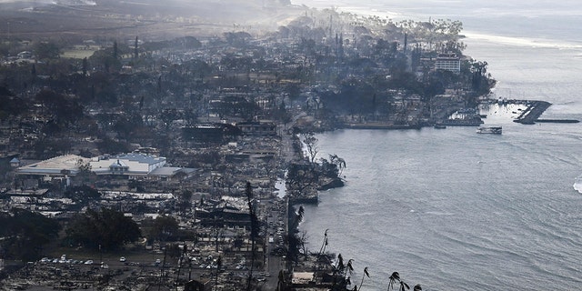 Hawaiian beach covered in ash