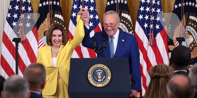 Nancy Pelosi, Chuck Schumer