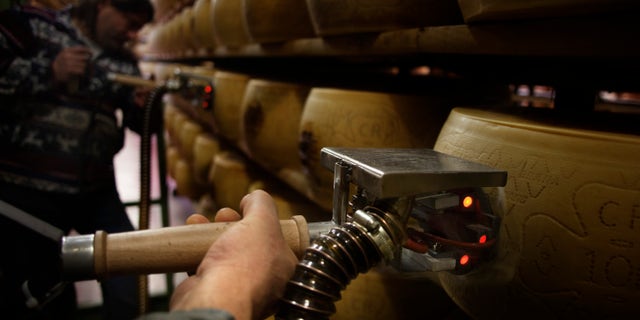 workers in cheese warehouse