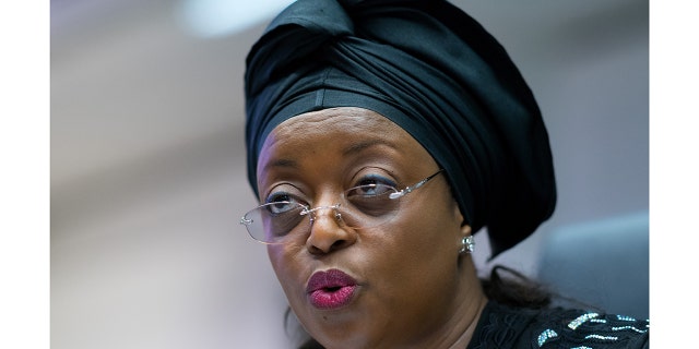 Nigerias Diezani Alison-Madueke