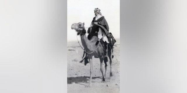 T. E. Lawrence on a camel
