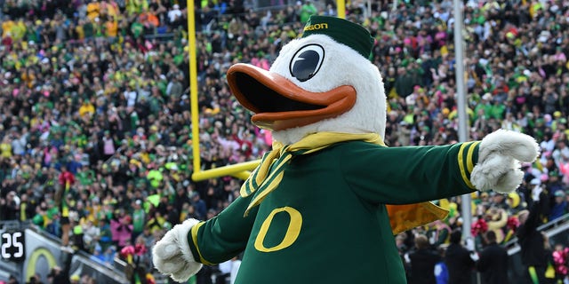 The Oregon Ducks mascot at a game
