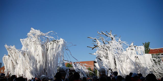 The oaks at Toomer's Corner