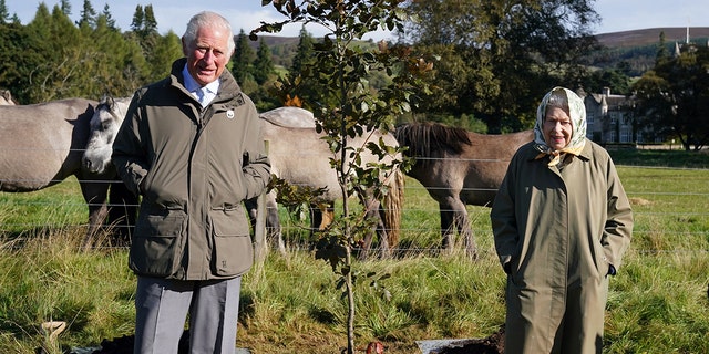 Queen Elizabeth and Prince Charles wearing matching hunter green coats in front of sheep