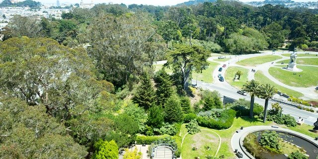 Golden Gate Park