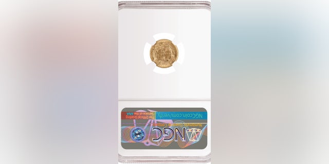 gold coins