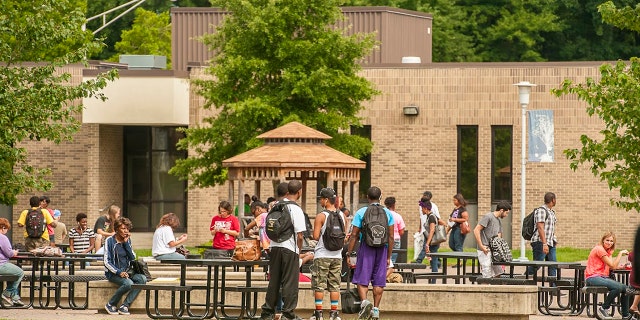 A photo of students on the campus