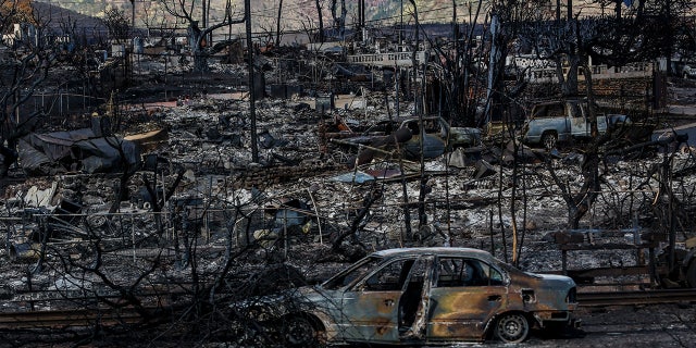 Charred remains in Maui