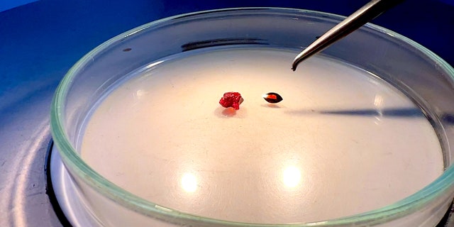 Holy Gems garnet polished and unpolished