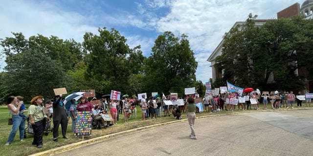 Protesters in Texas