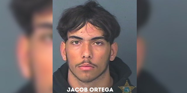 Jacob Ortega, pictured, was charged with burglary, grand theft and unlawful use of a two-way communication device