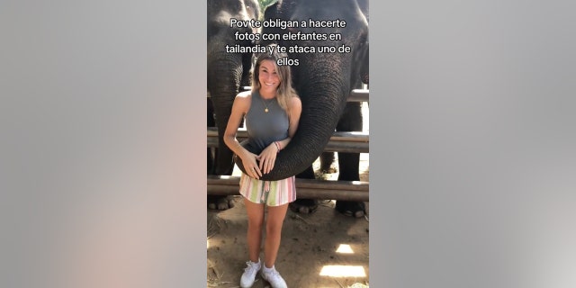 Elephant photo gone wrong