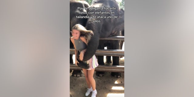 Elephant photo gone wrong