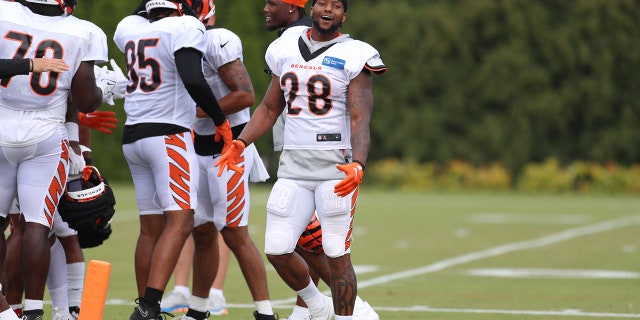 Joe Mixon at training camp