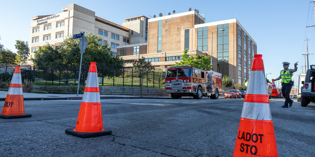 Orange cones