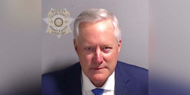 Mark Meadows mugshot