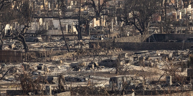 remains of a burned neighborhood in Maui after deadly wildfires