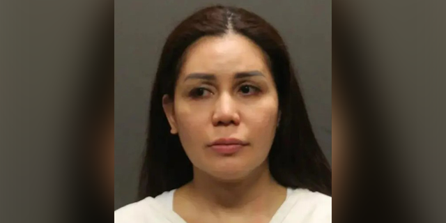 Melody Felicano Johnson mugshot