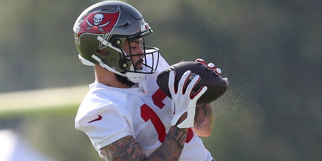 Mike Evans catches a pass