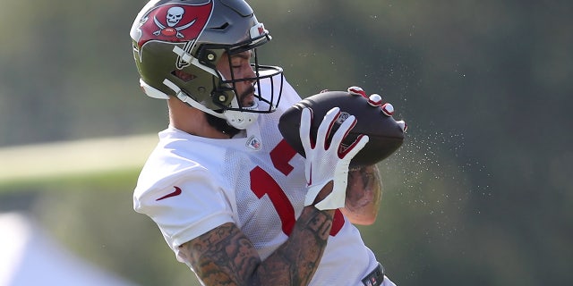 Mike Evans catches a pass