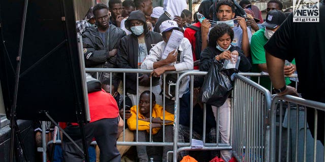 nyc migrant lines