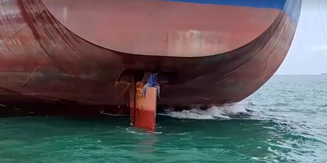 Stowaways on cargo ship that arrived in Brazil