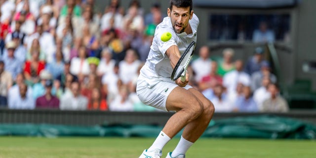 Novak Djokovic at Wimbledon