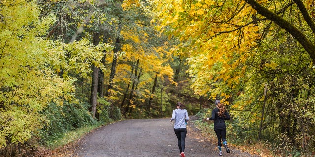 Oregon road