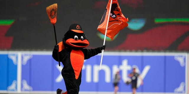 Orioles mascot