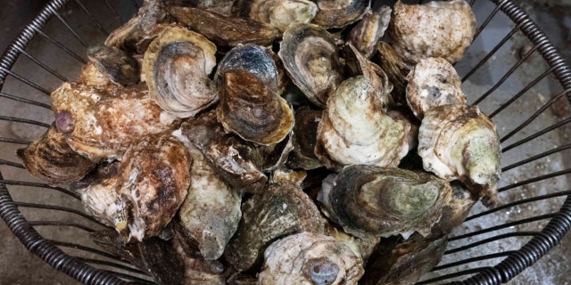 A basket of oysters