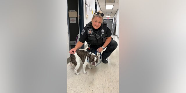 PA airport bulldog abandoned