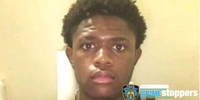 Bronx assault suspect photo