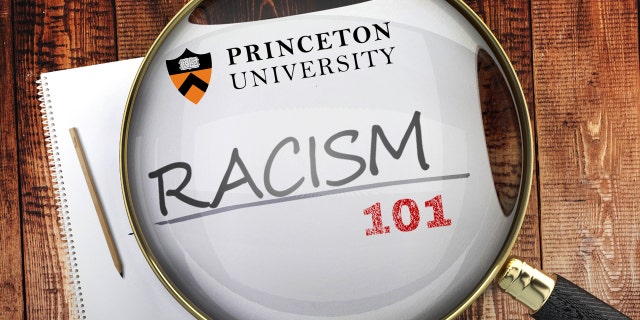 Systemic racism princeton