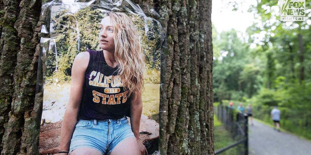 A photo of Rachel Morin is posted on a tree along a hiking route