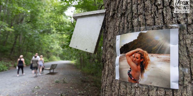 A photo of Rachel Morin is posted on a tree along a hiking route