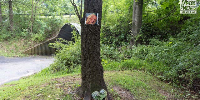 A photo of Rachel Morin is posted on a tree along a hiking route